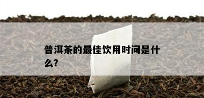 普洱茶的更佳饮用时间是什么？