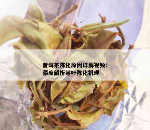 普洱茶陈化原因详解视频：深度解析茶叶陈化机理