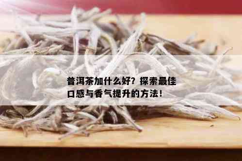 普洱茶加什么好？探索更佳口感与香气提升的方法！