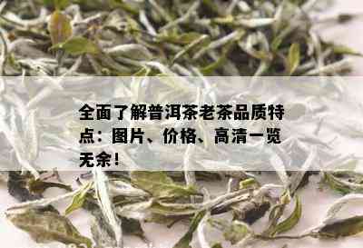 全面了解普洱茶老茶品质特点：图片、价格、高清一览无余！