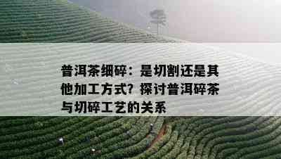 普洱茶细碎：是切割还是其他加工方式？探讨普洱碎茶与切碎工艺的关系