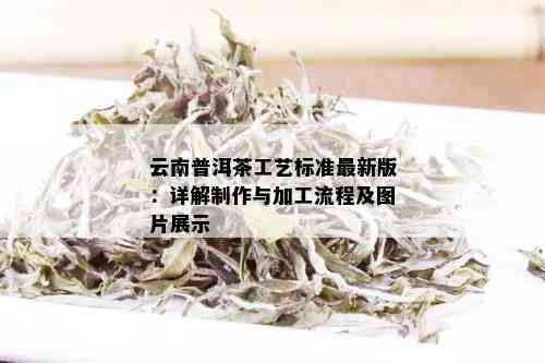 云南普洱茶工艺标准最新版：详解制作与加工流程及图片展示