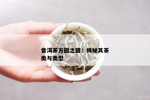 普洱茶方圆之圆：揭秘其茶类与类型