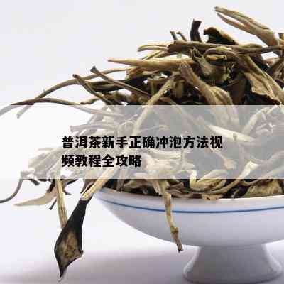 普洱茶新手正确冲泡方法视频教程全攻略