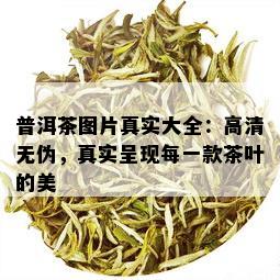 普洱茶图片真实大全：高清无伪，真实呈现每一款茶叶的美