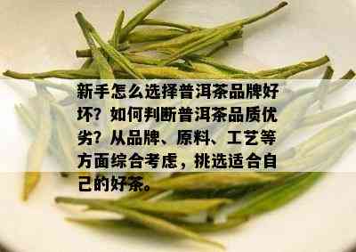 新手怎么选择普洱茶品牌好坏？如何判断普洱茶品质优劣？从品牌、原料、工艺等方面综合考虑，挑选适合自己的好茶。