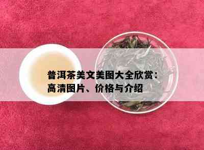 普洱茶美文美图大全欣赏：高清图片、价格与介绍