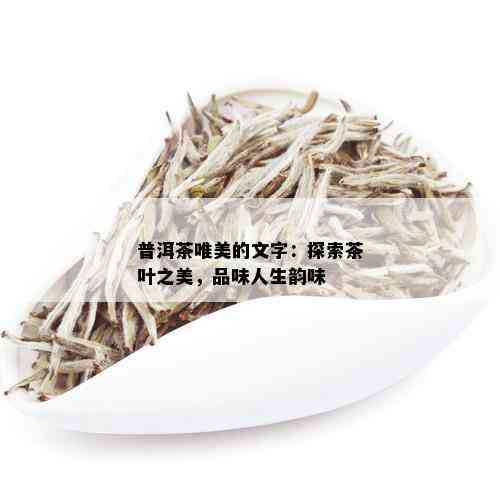 普洱茶唯美的文字：探索茶叶之美，品味人生韵味