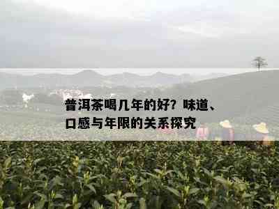 普洱茶喝几年的好？味道、口感与年限的关系探究