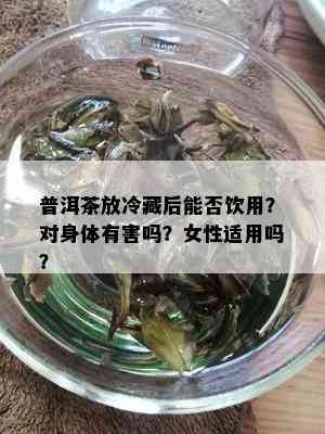 普洱茶放冷藏后能否饮用？对身体有害吗？女性适用吗？