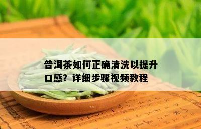 普洱茶如何正确清洗以提升口感？详细步骤视频教程