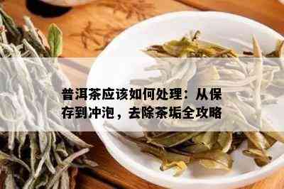 普洱茶应该如何处理：从保存到冲泡，去除茶垢全攻略