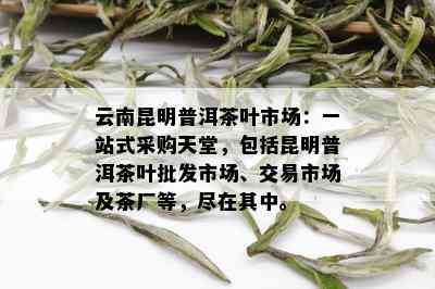 云南昆明普洱茶叶市场：一站式采购天堂，包括昆明普洱茶叶批发市场、交易市场及茶厂等，尽在其中。