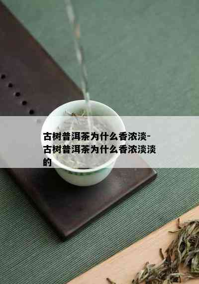 古树普洱茶为什么香浓淡-古树普洱茶为什么香浓淡淡的