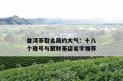 普洱茶取名简约大气：十八个雅号与聚财茶店名字推荐