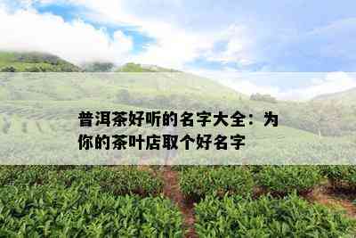 普洱茶好听的名字大全：为你的茶叶店取个好名字