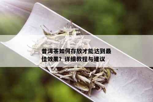 普洱茶如何存放才能达到更佳效果？详细教程与建议