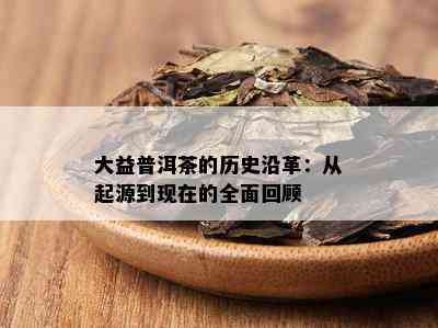 大益普洱茶的历史沿革：从起源到现在的全面回顾