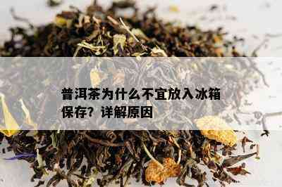 普洱茶为什么不宜放入冰箱保存？详解原因