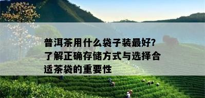 普洱茶用什么袋子装更好？了解正确存储方式与选择合适茶袋的重要性