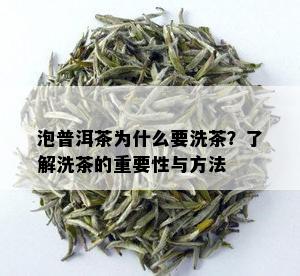 泡普洱茶为什么要洗茶？了解洗茶的重要性与方法