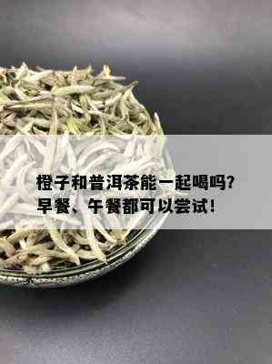 橙子和普洱茶能一起喝吗？早餐、午餐都可以尝试！