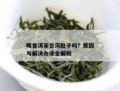 喝普洱茶会泻肚子吗？原因与解决办法全解析