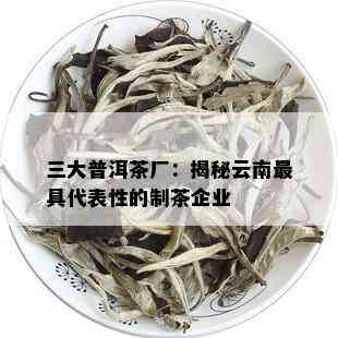 三大普洱茶厂：揭秘云南更具代表性的制茶企业