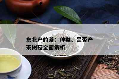 东北产的茶：种类、是否产茶树菇全面解析