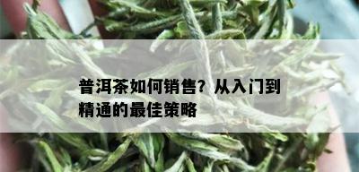 普洱茶如何销售？从入门到精通的更佳策略