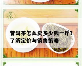 普洱茶怎么卖多少钱一斤？了解定价与销售策略