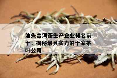 汕头普洱茶生产企业排名前十：揭秘更具实力的十家茶叶公司