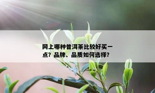 网上哪种普洱茶比较好买一点？品牌、品质如何选择？