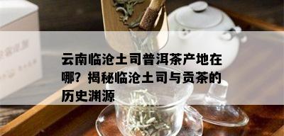 云南临沧土司普洱茶产地在哪？揭秘临沧土司与贡茶的历史渊源