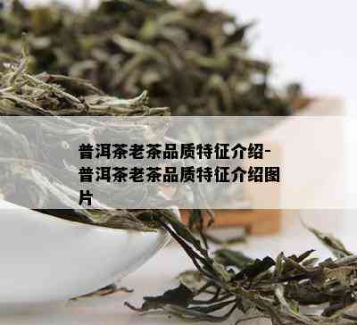 普洱茶老茶品质特征介绍-普洱茶老茶品质特征介绍图片