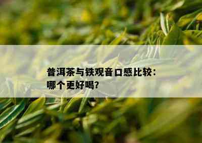 普洱茶与铁观音口感比较：哪个更好喝？