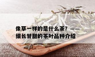 像草一样的是什么茶？——细长甘甜的茶叶品种介绍