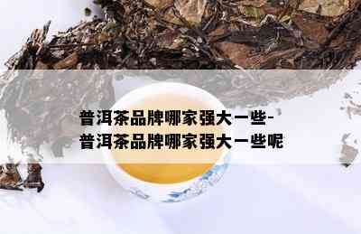 普洱茶品牌哪家强大一些-普洱茶品牌哪家强大一些呢