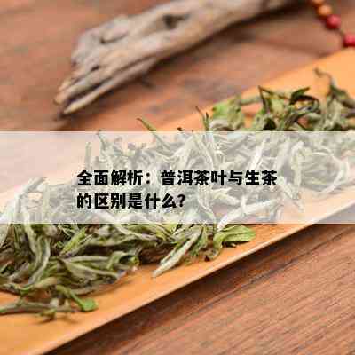 全面解析：普洱茶叶与生茶的区别是什么？