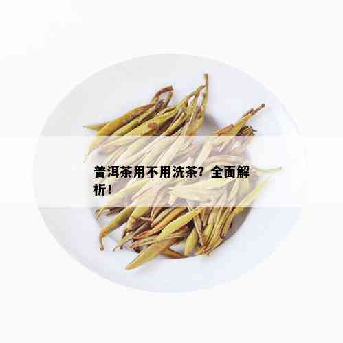 普洱茶用不用洗茶？全面解析！