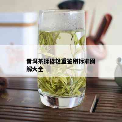 普洱茶揉捻轻重鉴别标准图解大全