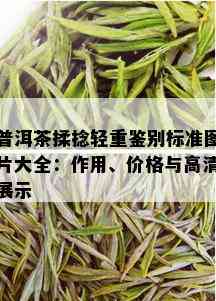 普洱茶揉捻轻重鉴别标准图片大全：作用、价格与高清展示