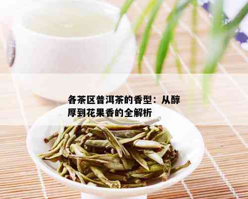 各茶区普洱茶的香型：从醇厚到花果香的全解析