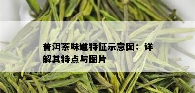 普洱茶味道特征示意图：详解其特点与图片