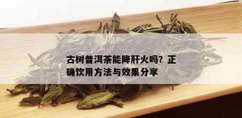 古树普洱茶能降肝火吗？正确饮用方法与效果分享