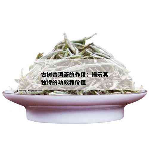 古树普洱茶的作用：揭示其独特的功效和价值