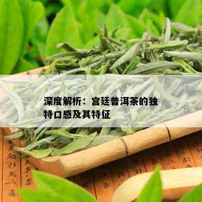 深度解析：宫廷普洱茶的独特口感及其特征