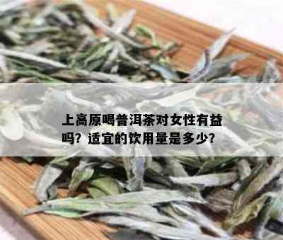 上高原喝普洱茶对女性有益吗？适宜的饮用量是多少？