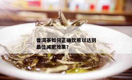 普洱茶如何正确饮用以达到更佳减肥效果？