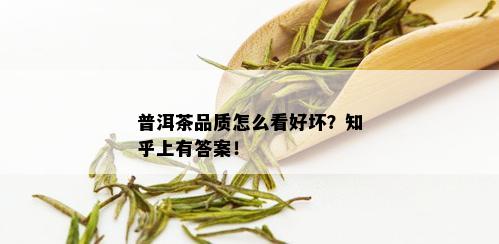 普洱茶品质怎么看好坏？知乎上有答案！